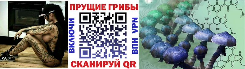Псилоцибиновые грибы прущие грибы  Аксай 