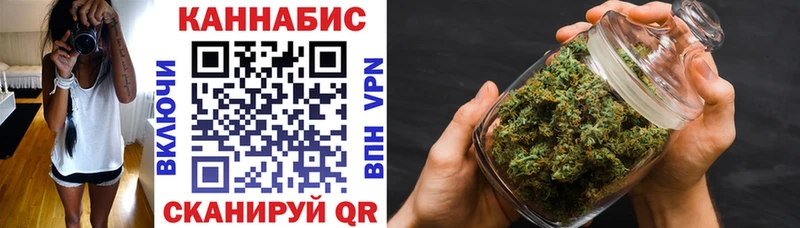 Конопля сатива Аксай
